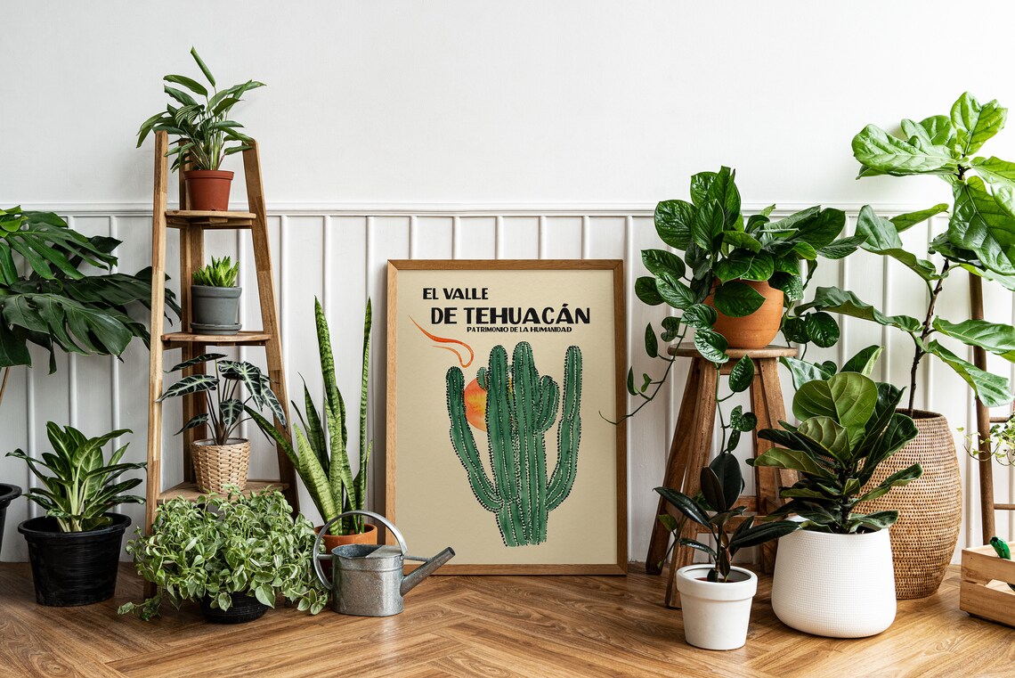 Vintage Mexico Valle De Tehuacan Cactus Poster - Image 5