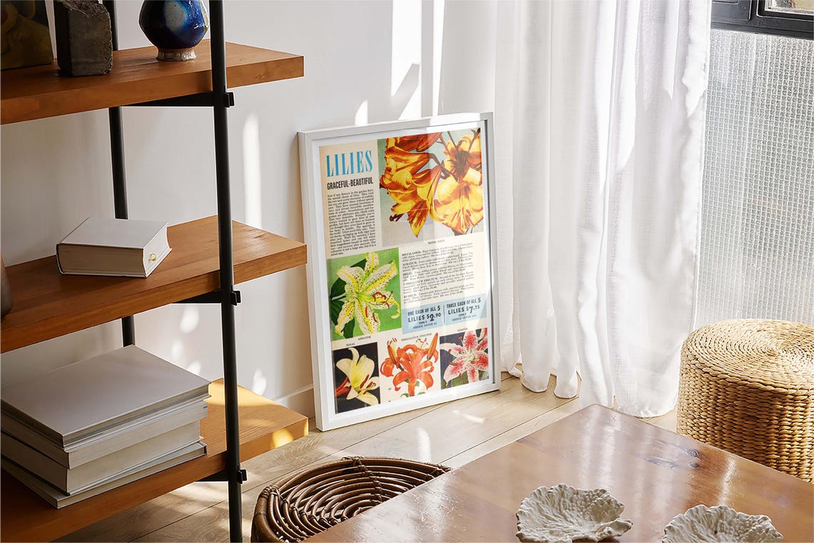 Lilies Graceful Beautiful Vintage Seed Catalog Flower Varieties Poster - Image 4