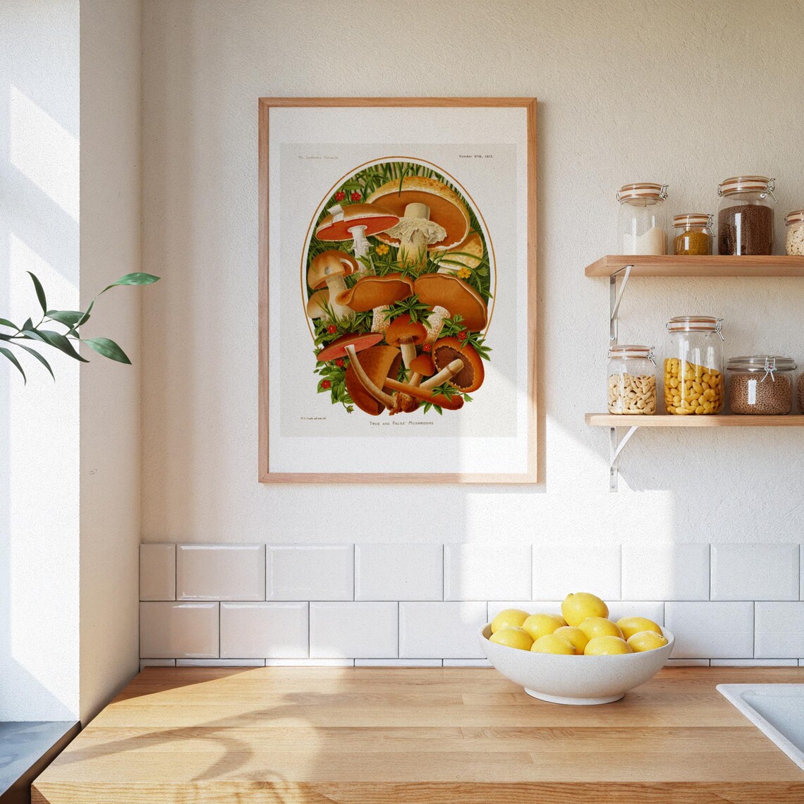 Vintage Mushroom Poster, Botanical Fungi Artwork - Image 3