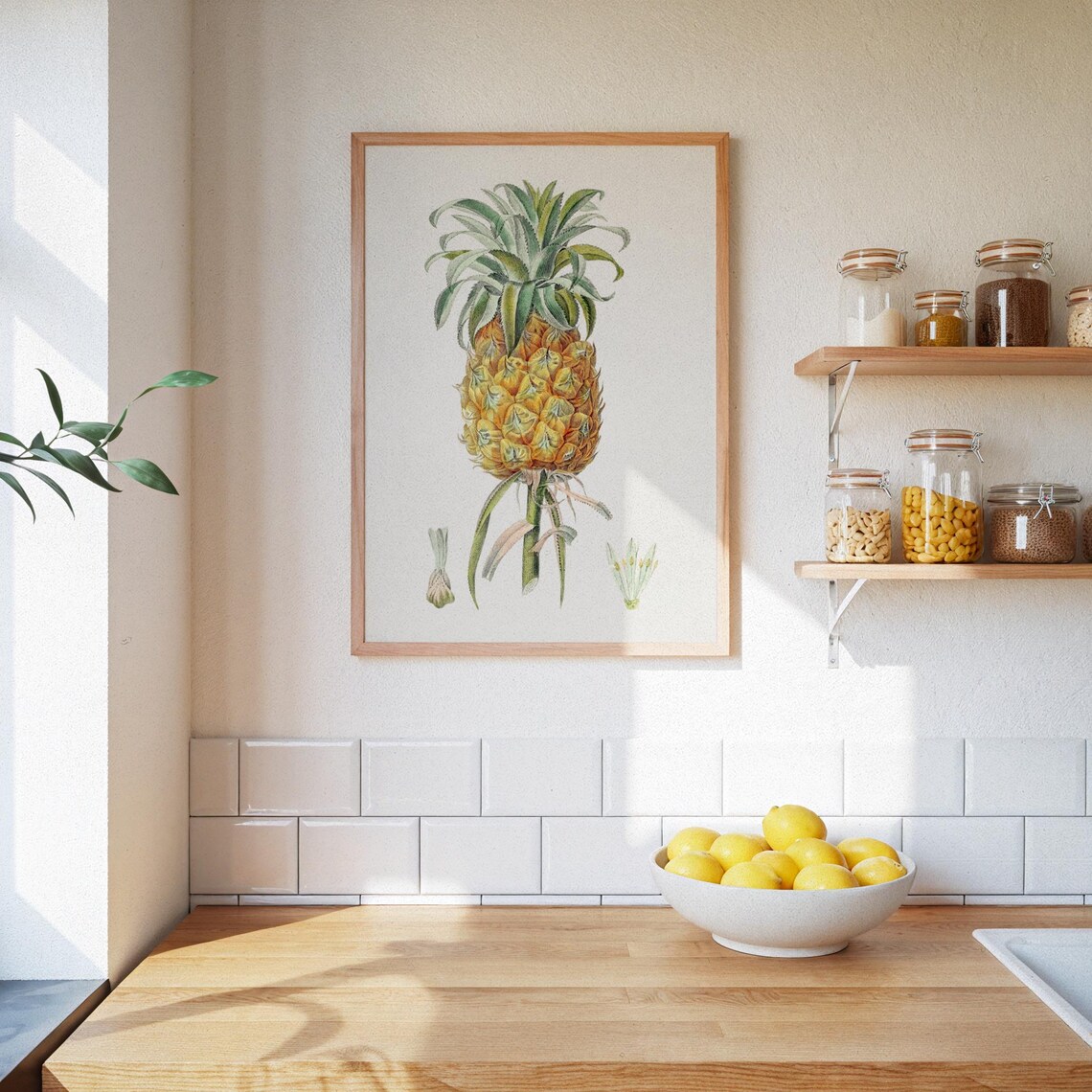 Old School Pineapple, Vintage Botanical Poster - Image 3