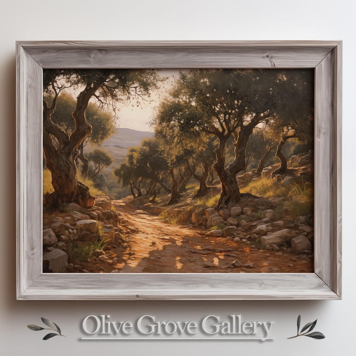 Olive Grove Path With Rocky Trail Golden Sunlight Oil Painting Poster