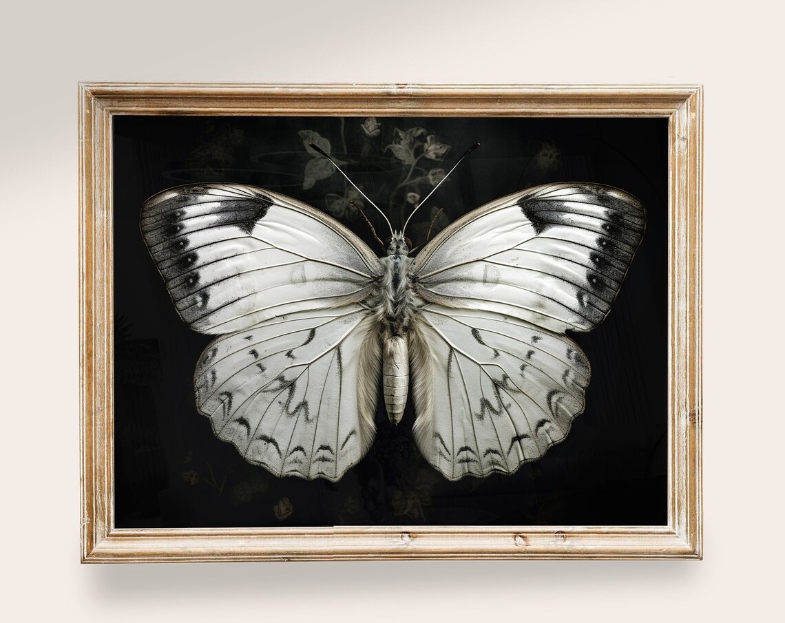 Dark Butterfly Vintage Butterfly Art Print, Light Academia