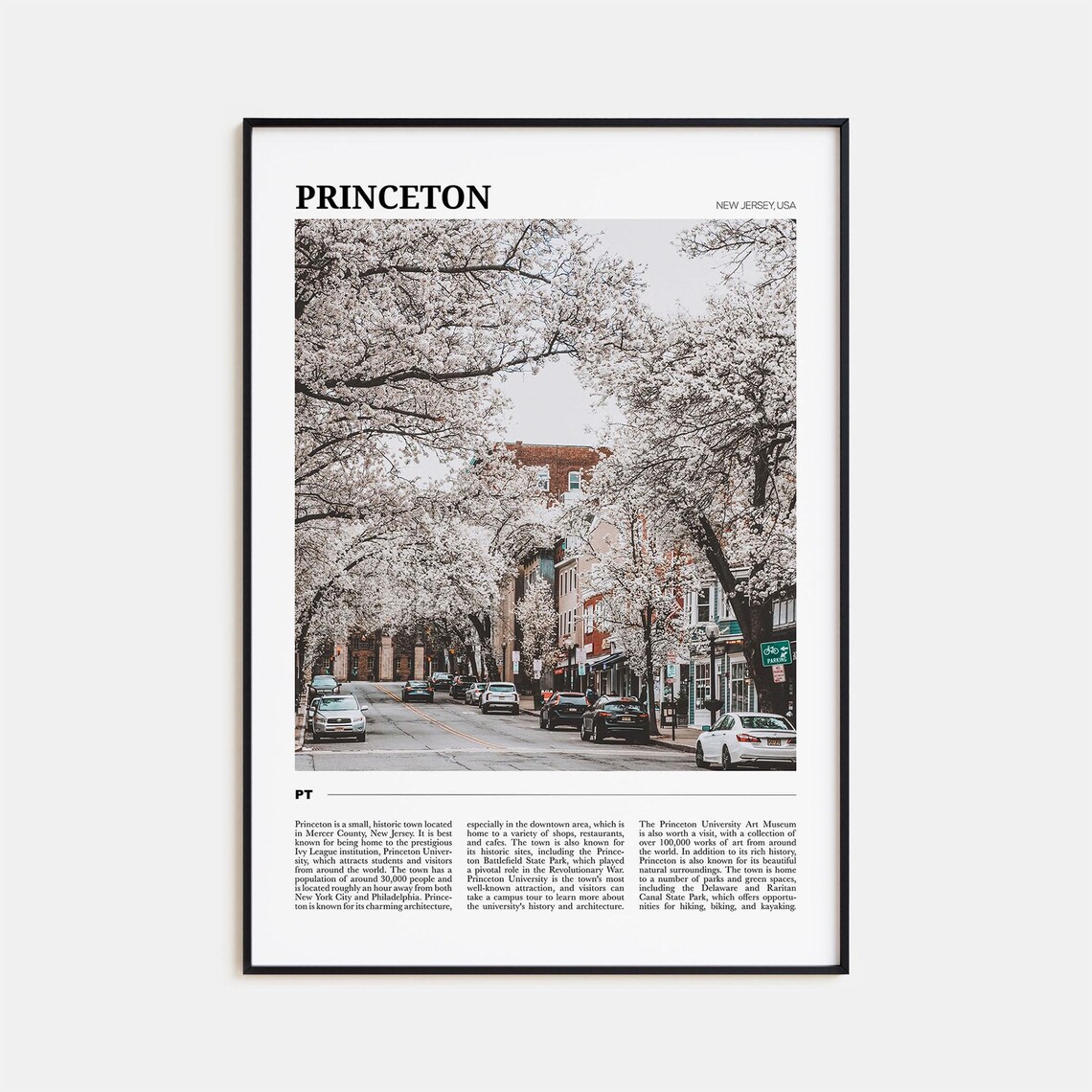 Princeton Travel Poster, New Jersey Wall Art