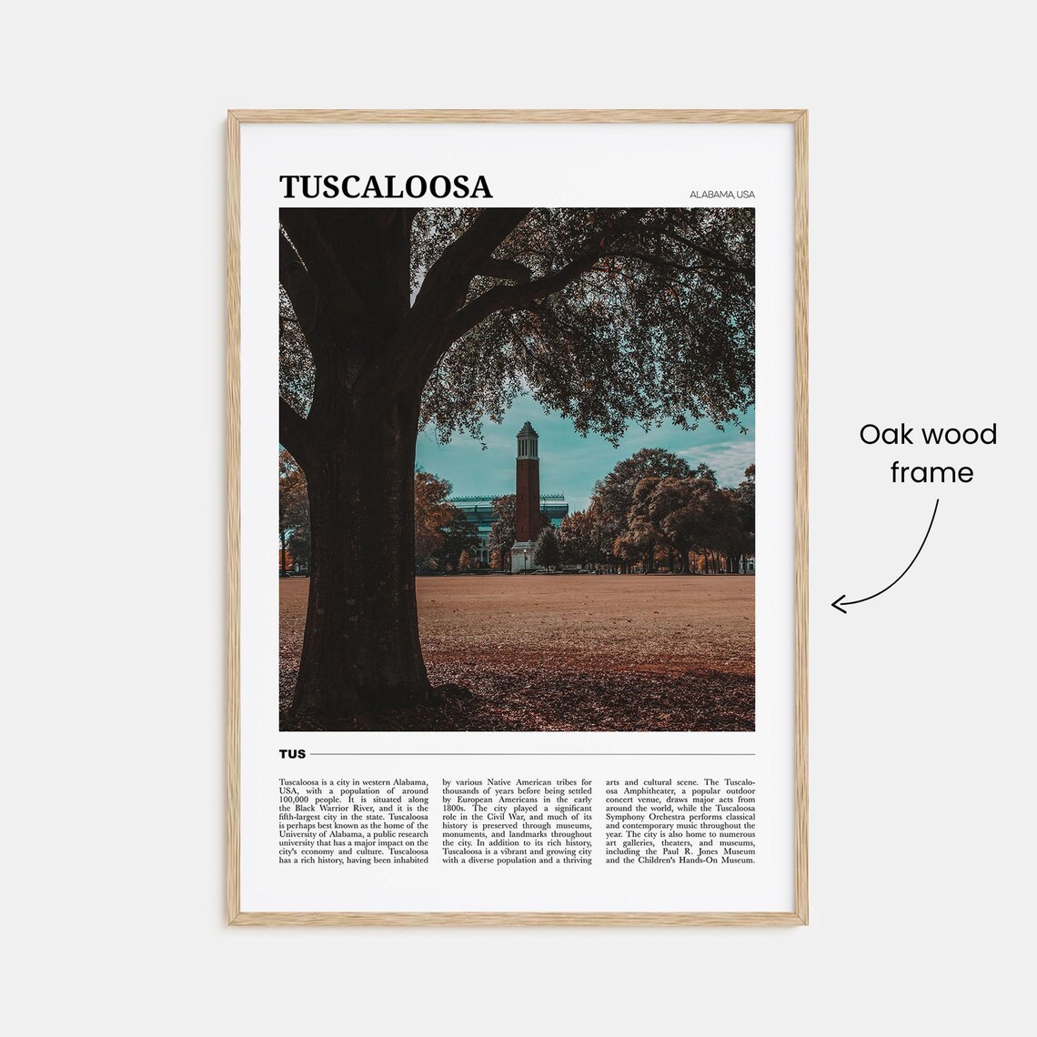 Tuscaloosa Travel Poster, Alabama USA Art Print - Image 3