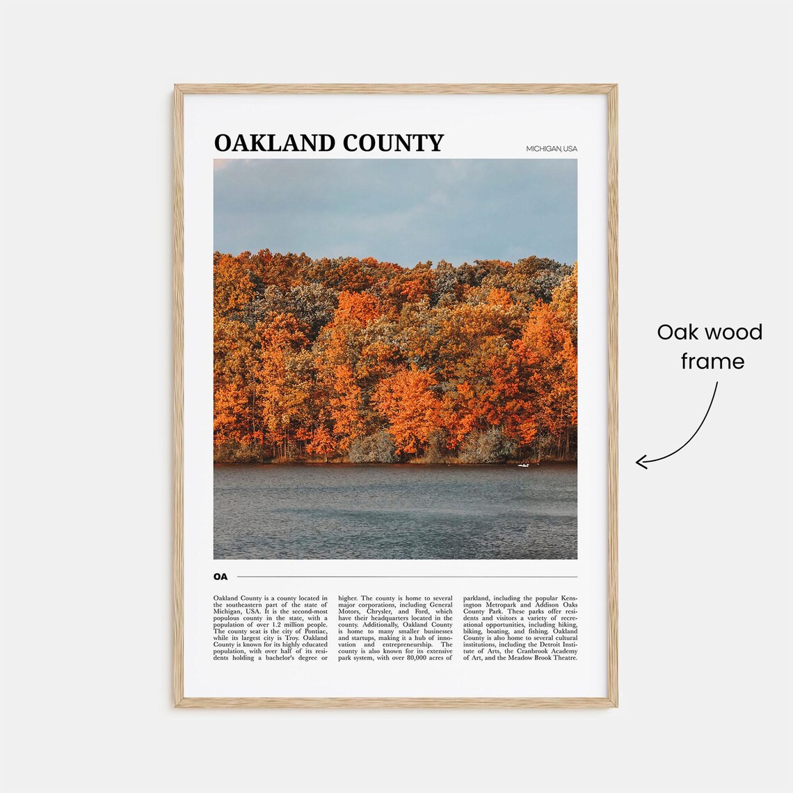 Oakland County Travel Poster Oakland County Wall Art Oakland County Poster Print Oakland County Photo Oakland County Decor Usa - Image 3