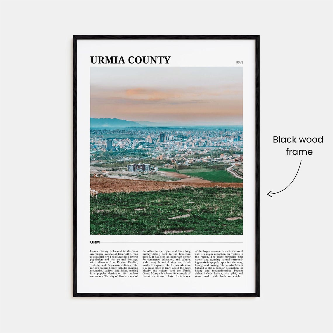 Urmia County Iran City Panorama Mountain View Green Fields Poster - Image 2