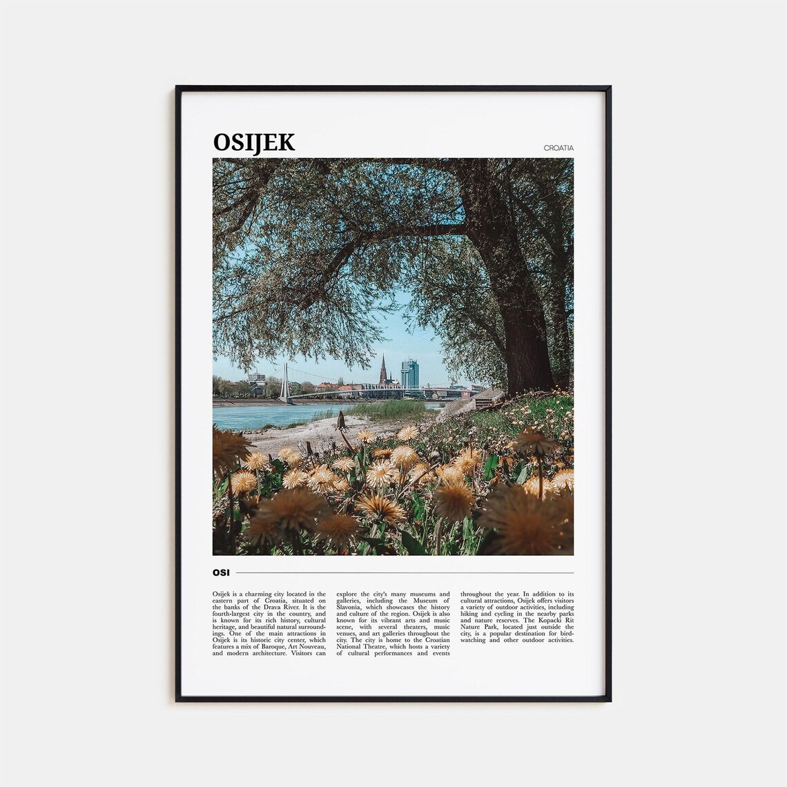 Osijek Croatia Drava River City View Spring Blooms Travel Poster