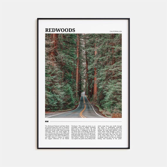 Redwoods Travel Poster, California USA Landscape