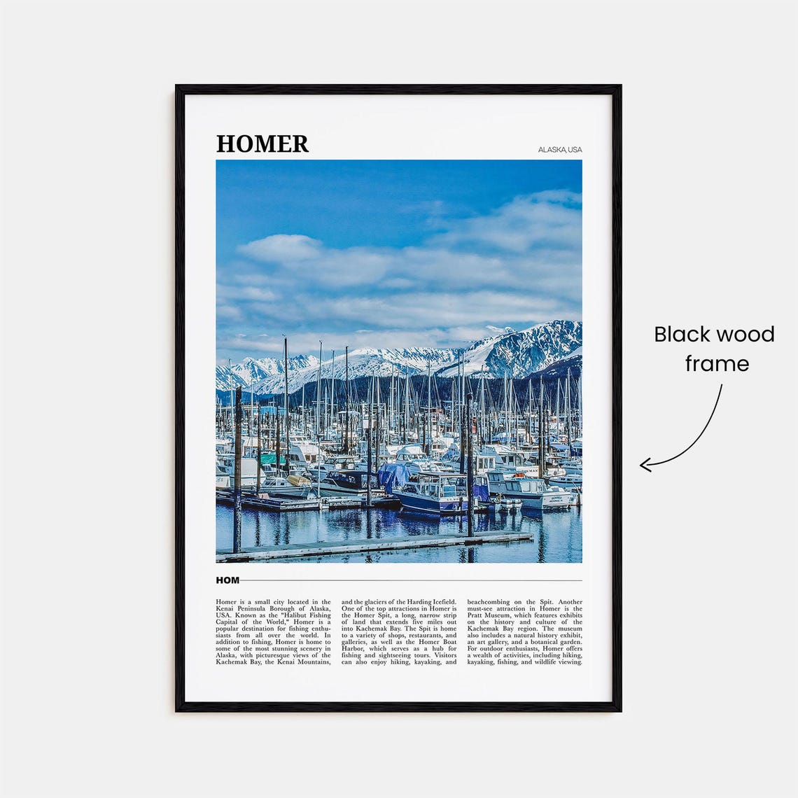 Homer Alaska USA Sport Fishing Harbor Snowy Mountains View Poster - Image 2