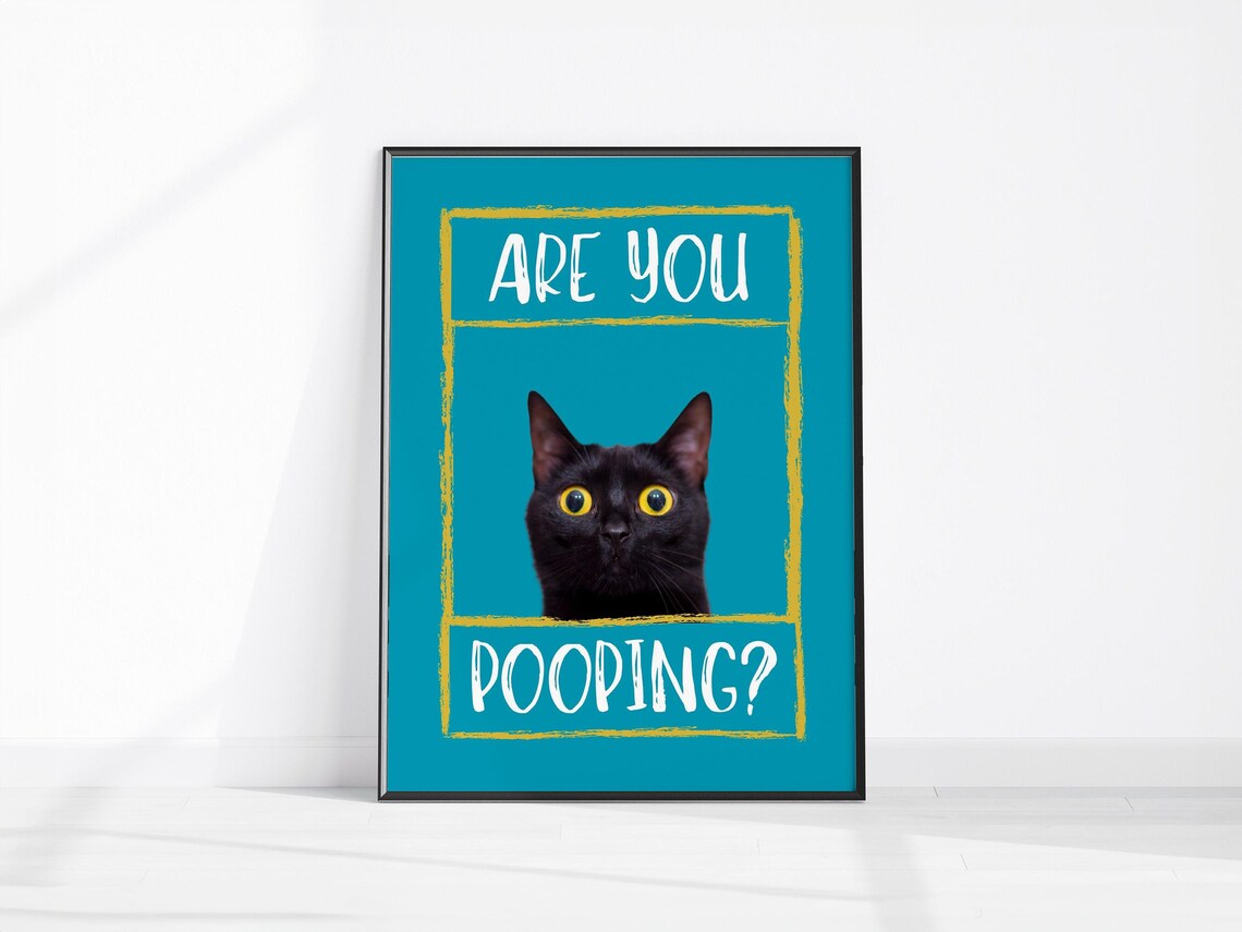 Are You Pooping Funny Black Cat Yellow Eyes Bathroom Humor Poster