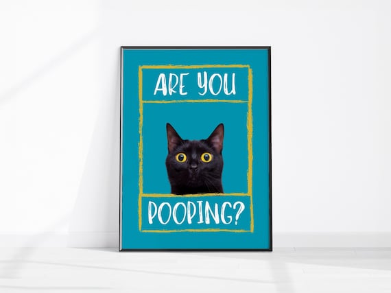 Are You Pooping Funny Black Cat Yellow Eyes Bathroom Humor Poster
