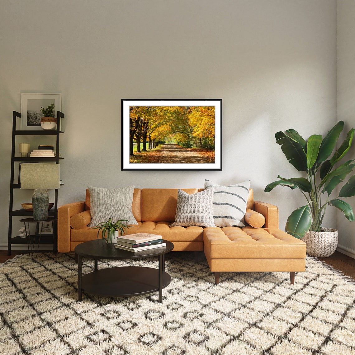 Golden Maple Tree Lined Autumn Lane with Fallen Leaves Photo Poster - Image 4