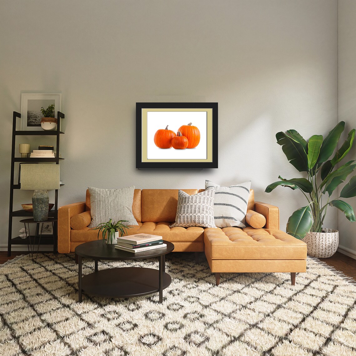 Three Pumpkins With Shadow, Realistic Photo - Image 4