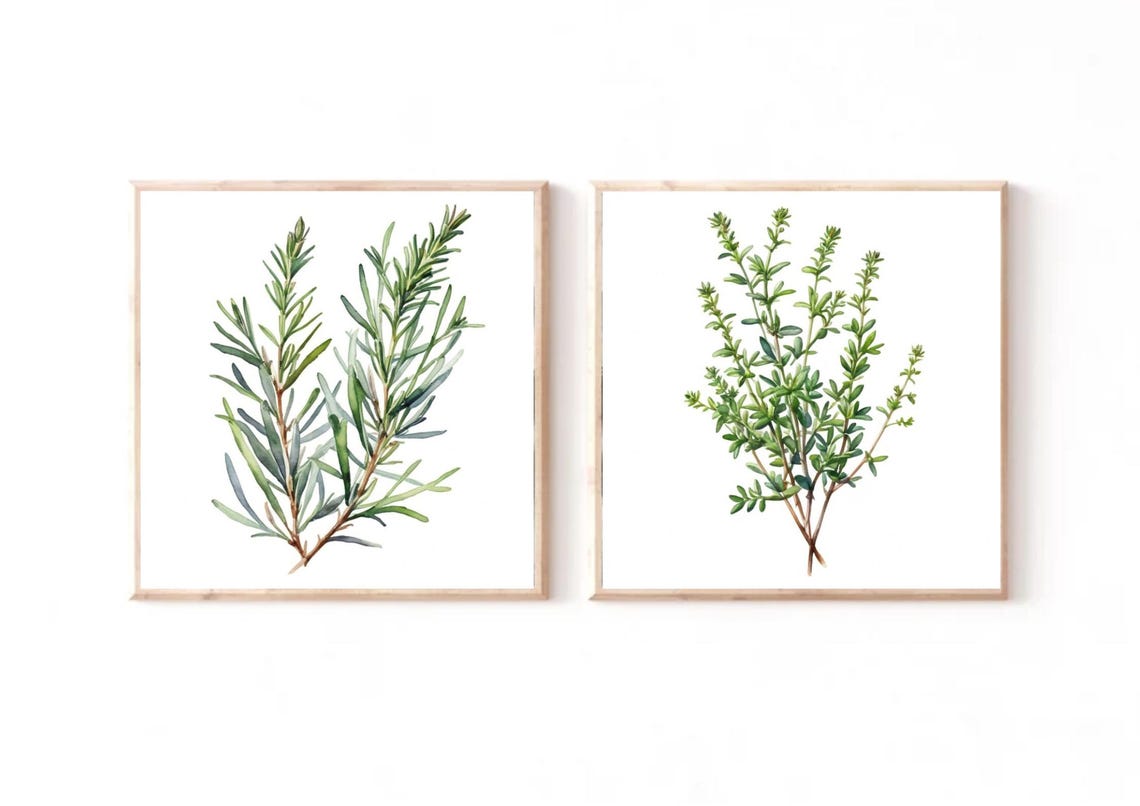 Thyme Sprigs With Tiny Leaves Botanical Watercolor Kitchen Herb Poster - Image 2