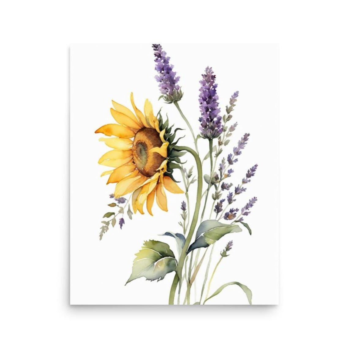 Sunflower With Lavender Sprigs Botanical Watercolor Floral Poster - Image 3