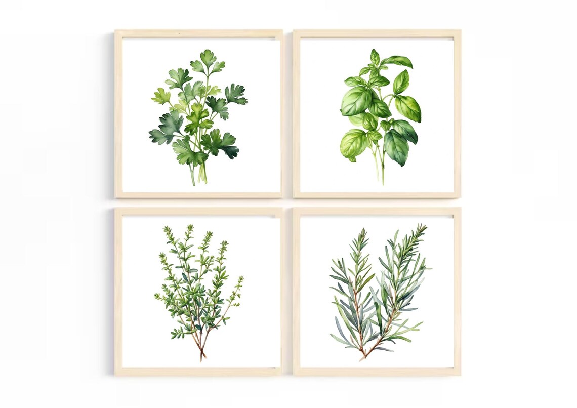 Rosemary Painting Herbs Watercolor Art Print Spices Wall Art Rosemary Still Life Farmhouse Wall Decor Kitchen Still Life Art Green Herbs Art - Image 5