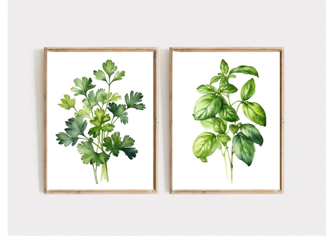 Fresh Basil Sprigs Botanical Watercolor Kitchen Herb Wall Poster - Image 4