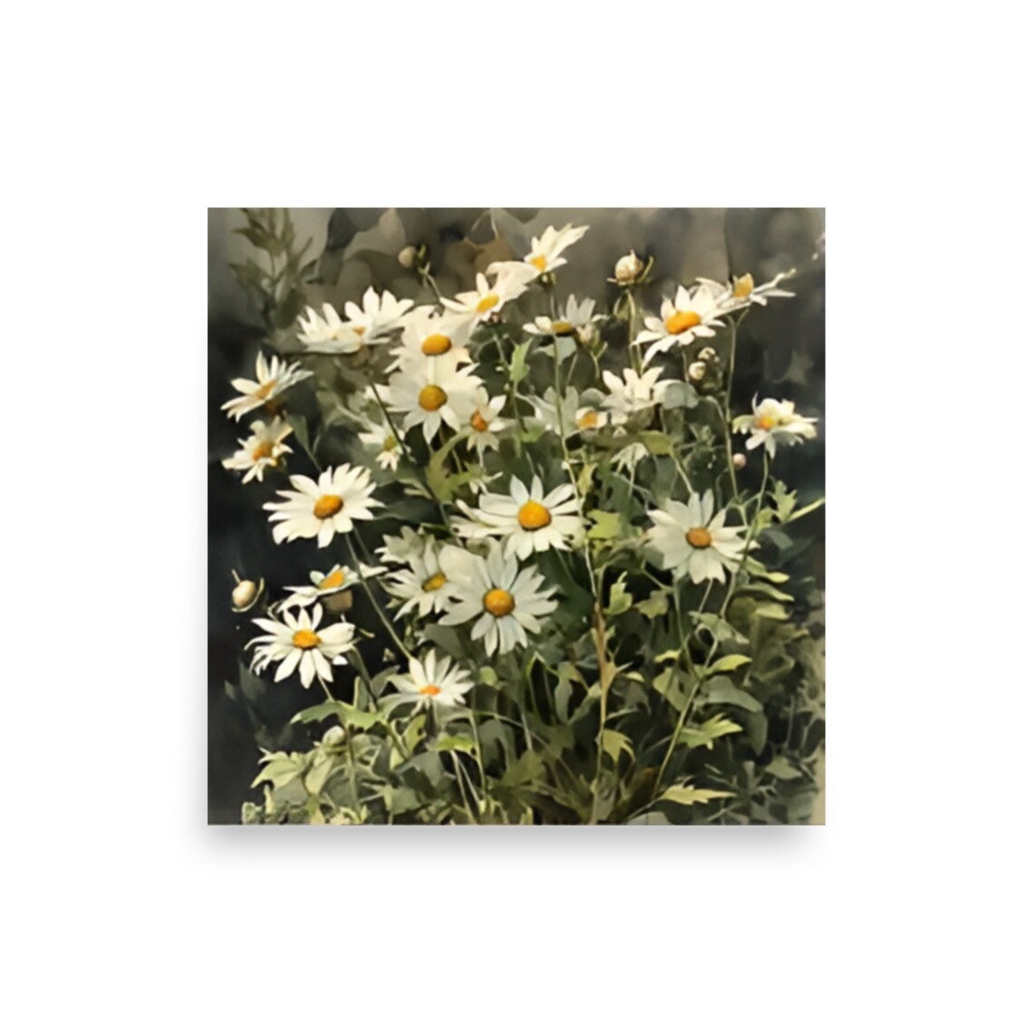 White Daisy Wildflowers Meadow Watercolor Floral Garden Art Poster - Image 2