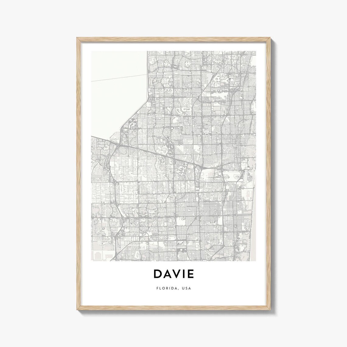 Davie Florida USA Modern Minimalist Street Map City Art Poster