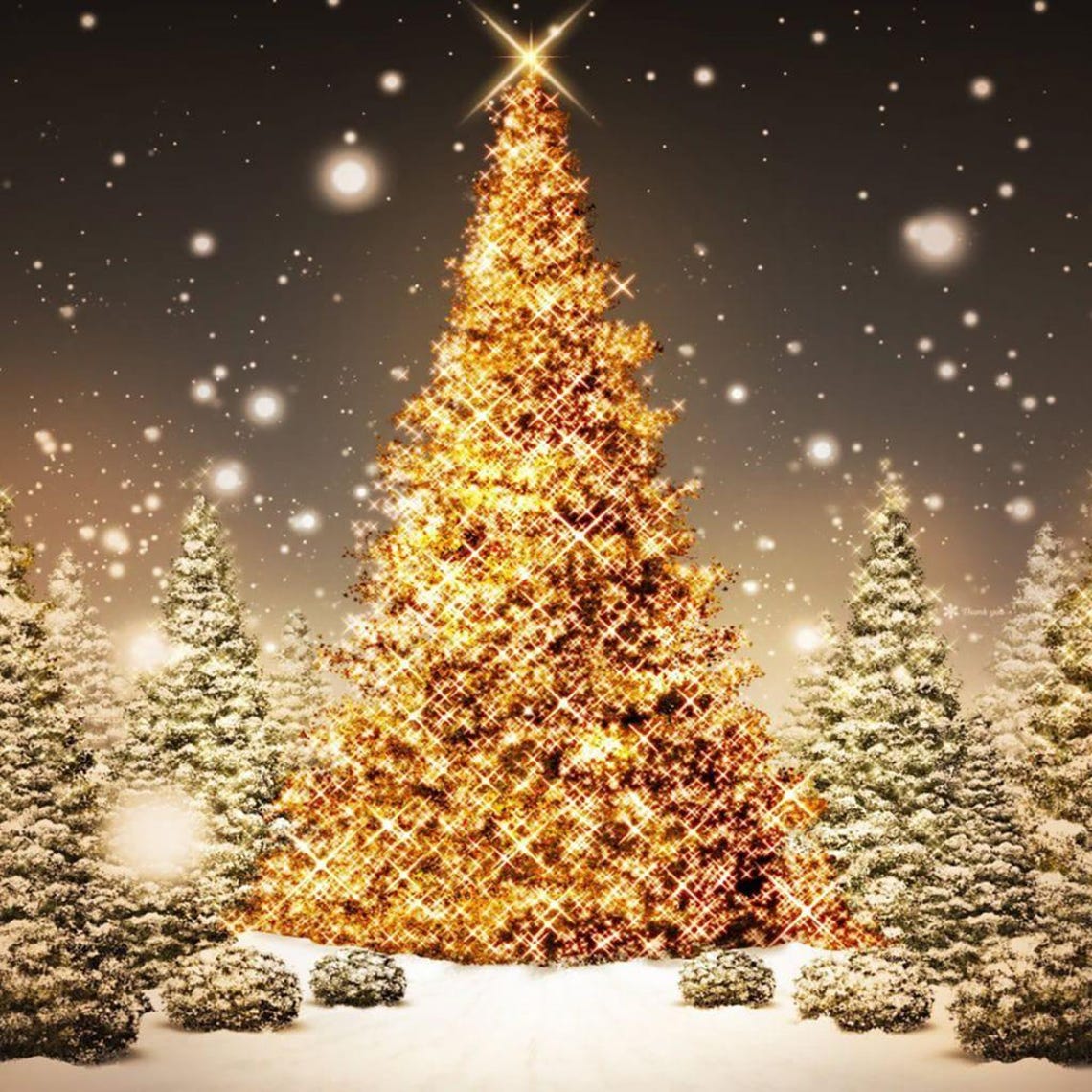 Christmas Tree, Holiday Art Print - Image 2