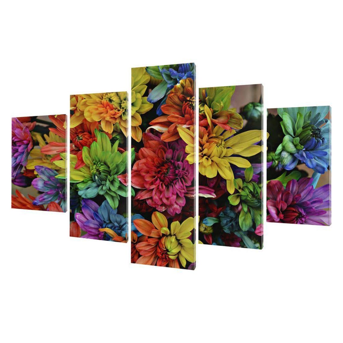 Rainbow Chrysanthemum Blooms Multicolor Flower Photography Art Poster - Image 3