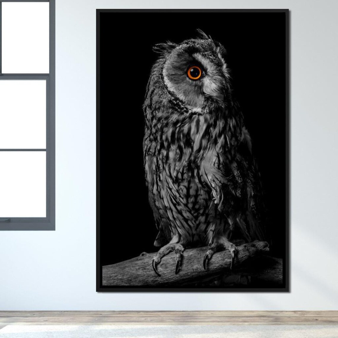 Black White Owl Orange Eye Perched Branch Wildlife Photography Poster - Image 2