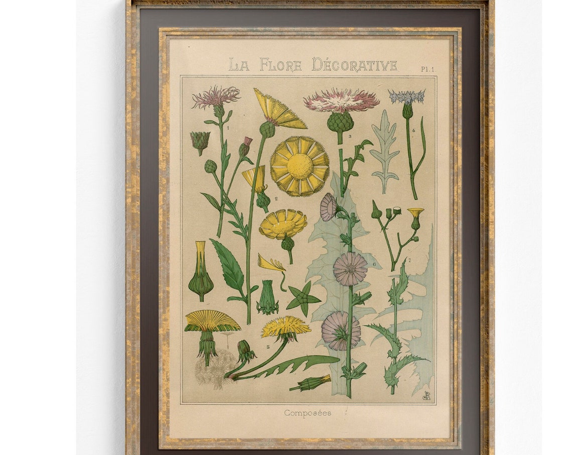 Wildflowers Vintage Botanical Art Nouveau Poster