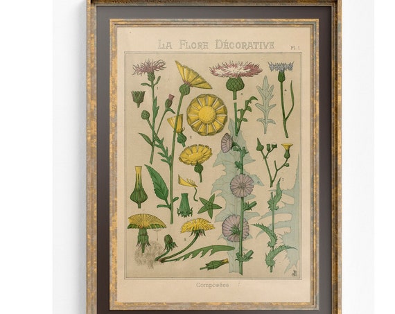 Wildflowers Vintage Botanical Art Nouveau Poster