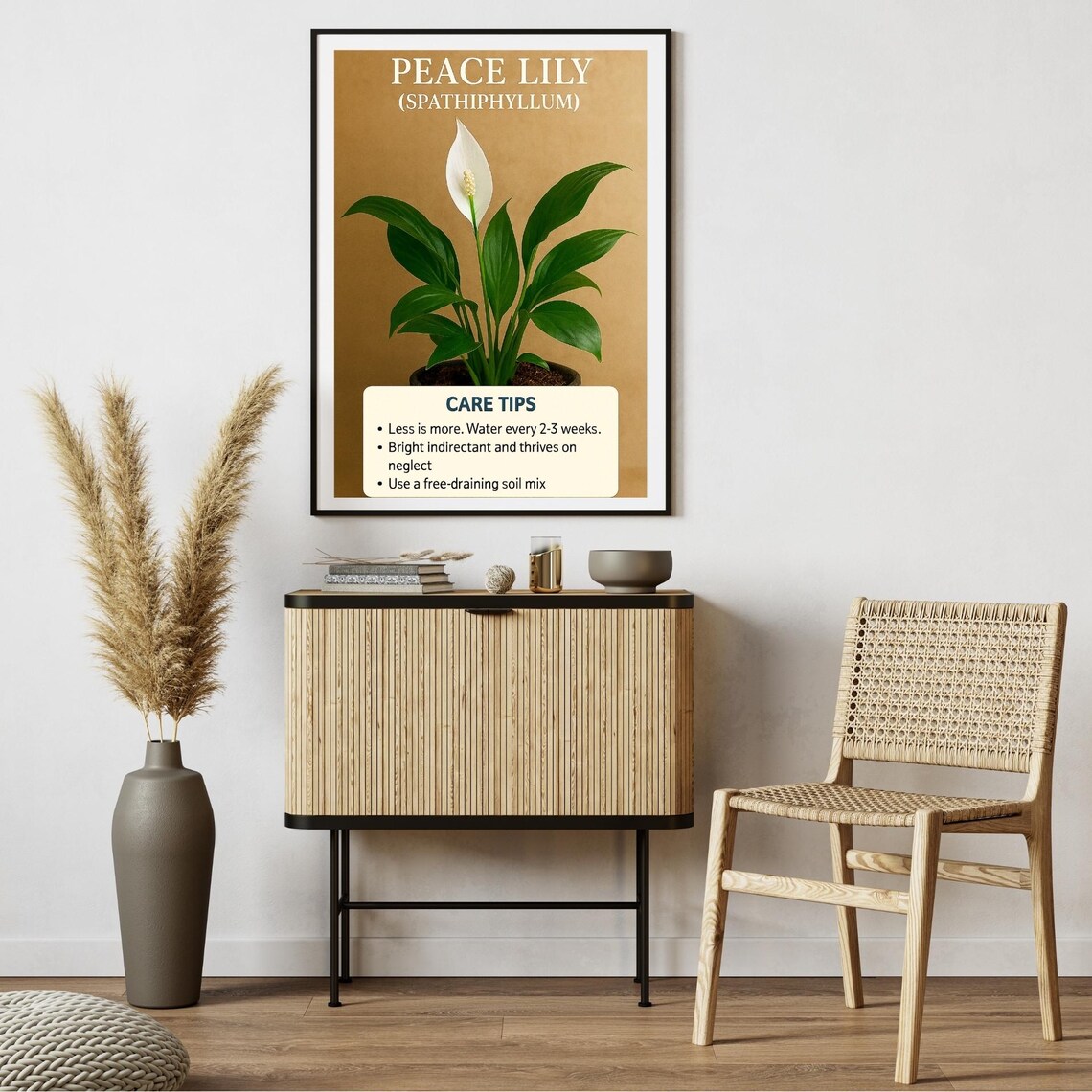 Peace Lily Care Tips, Botanical Wall Art Print