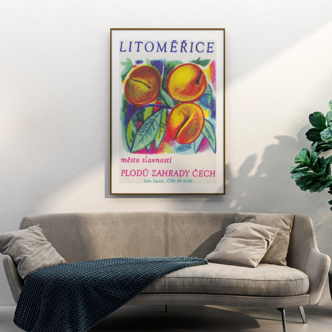 Litomerice Garden Of Bohemia Fruit Vintage Matchbox Label Poster - Image 3