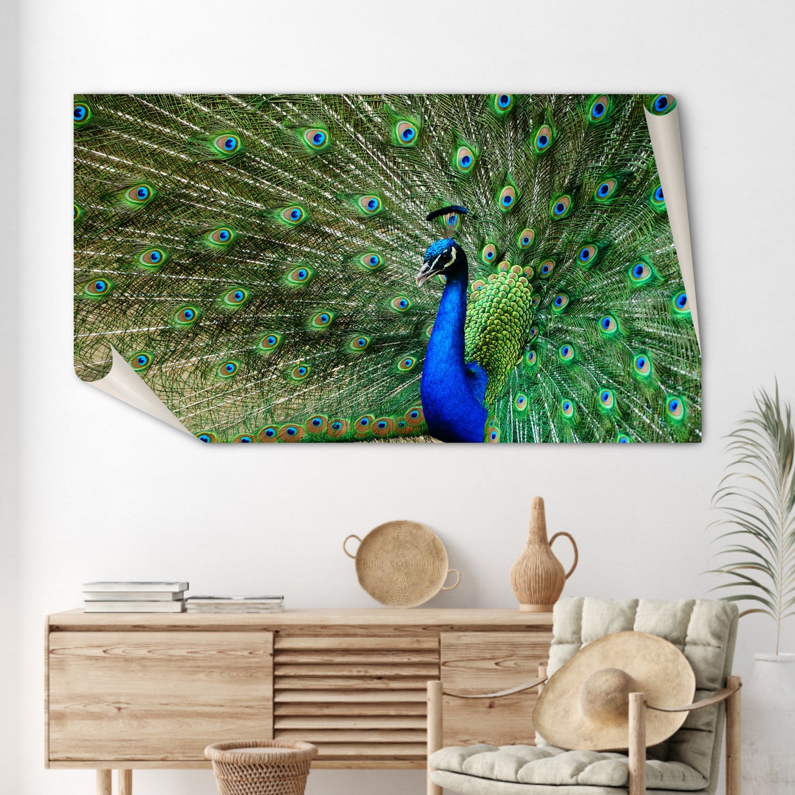 Peacock Displaying Fanned Tail Feathers Colorful Bird Poster - Image 2