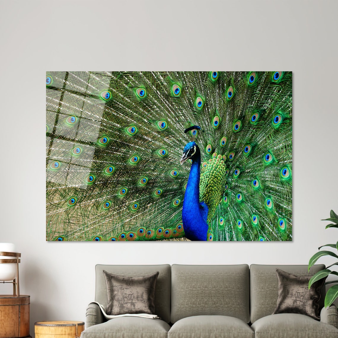 Peacock Displaying Fanned Tail Feathers Colorful Bird Poster