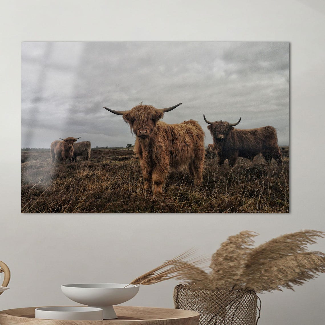 Highland Cattle Herd Roaming Misty Moorland Overcast Sky Poster - Image 2