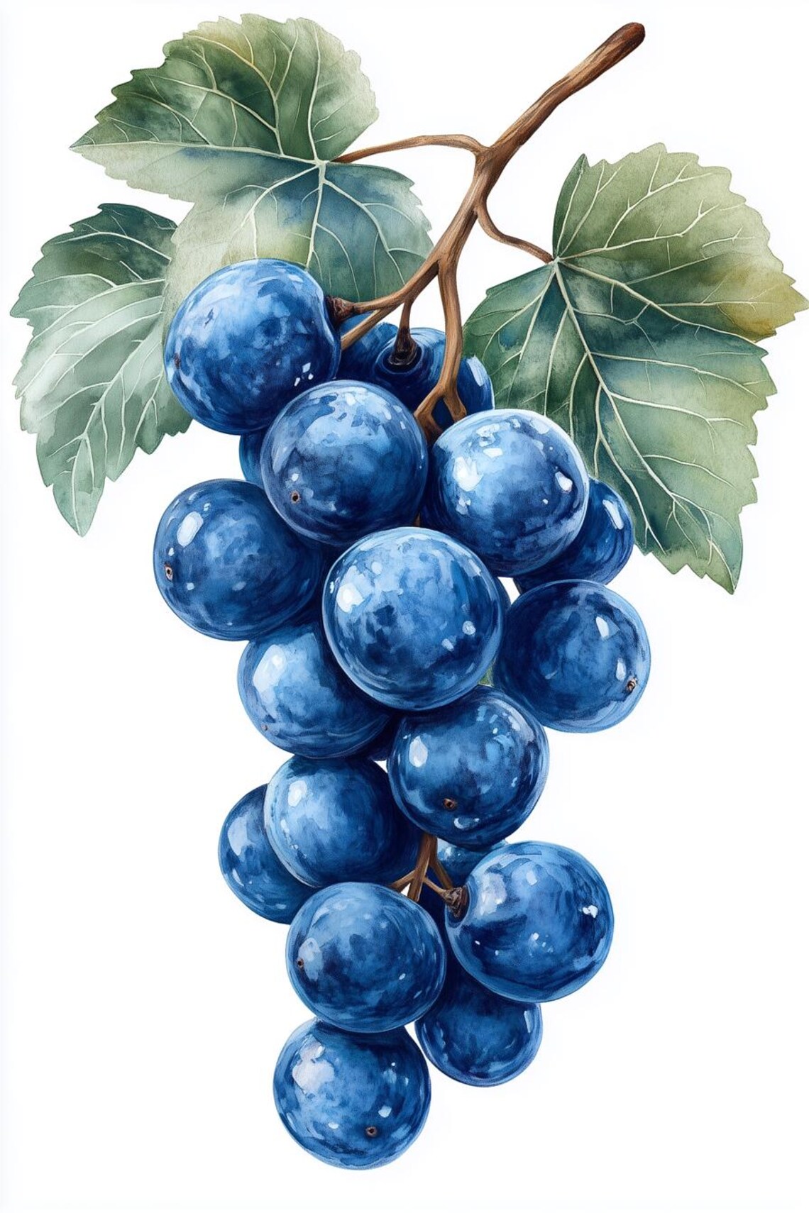 Vintage Grape Botanical Art Print, Monet Style