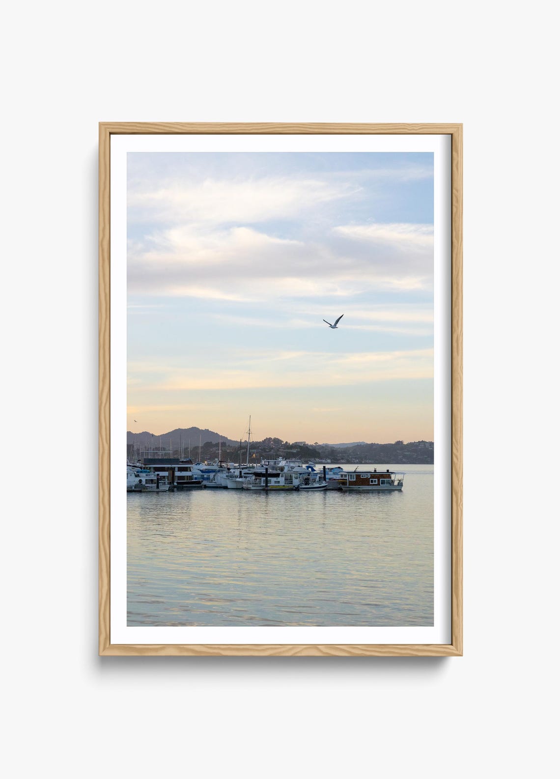 Sausalito Bay Area Photography, Harbor Scene