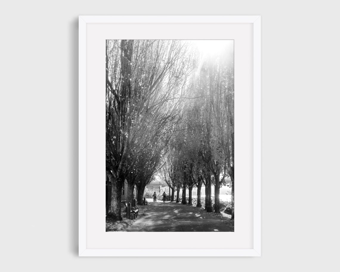 Portland Bike Photo, Pacific Northwest Gift