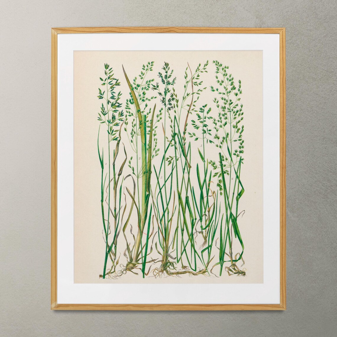 Nouveau Botanical Print, Minimalist Grass - Image 2