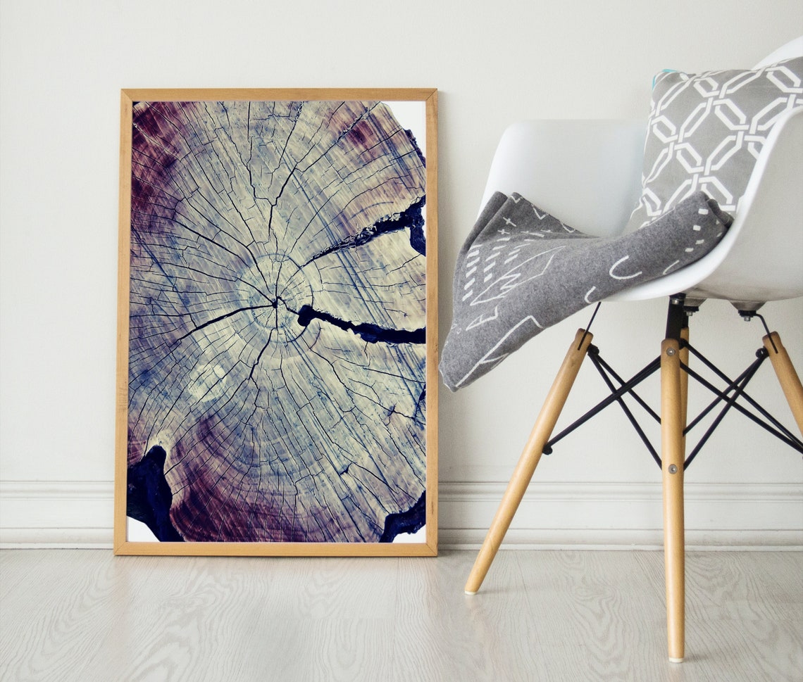 Tree Ring Print Tree Ring Art Print Tree Ring Home Decor Wall Art Print Wall Art Tree Print Tree Stump Print Art - Image 4