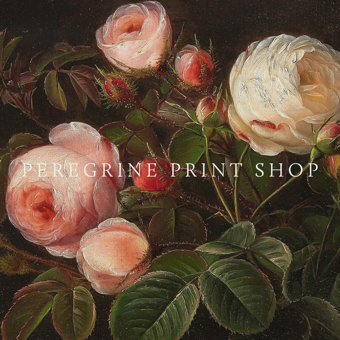 Pink And White Roses Vintage Still Life Floral Oil Painting Art Print - Image 3