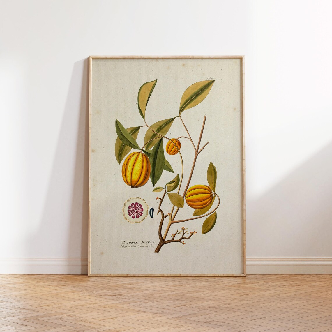Vintage Brindleberry Illustration Art Print