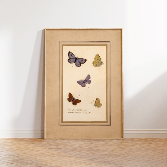 Vintage Butterflies Illustration, Antique Art Print