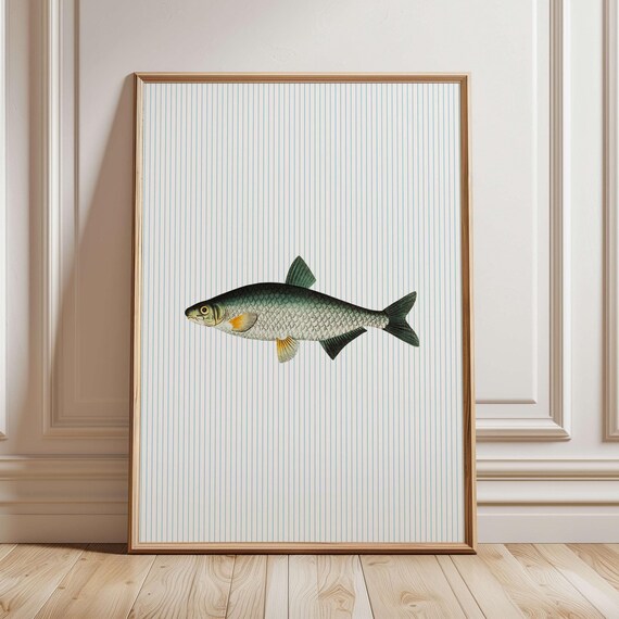 Sardines Wall Print Trout Fish Kitchen Art Trendy Seafood Fisherman Dining Room Decor Striped
