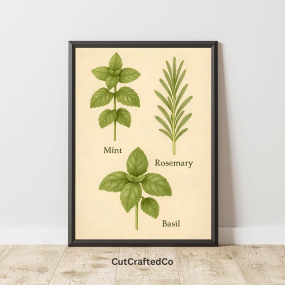 Herbal Kitchen Wall Art Mint Rosemary Basil Botanical Print Vintage Culinary Herb Poster Png