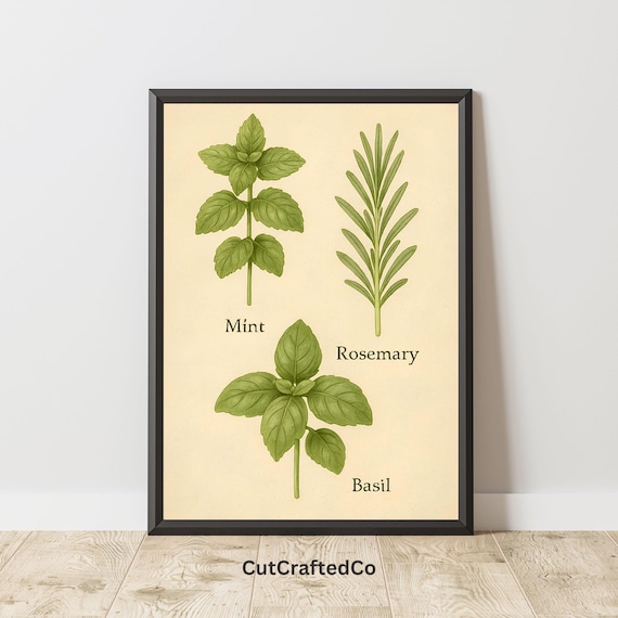 Vintage Mint Rosemary Basil Herbal Botanical Chart Wall Poster