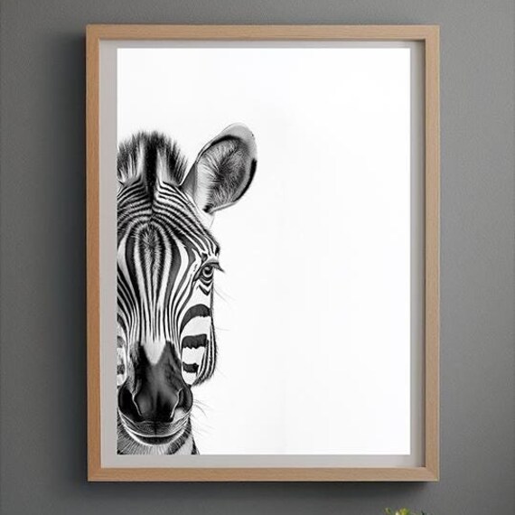 Peeking Zebra Close-Up Black and White African Wildlife Poster