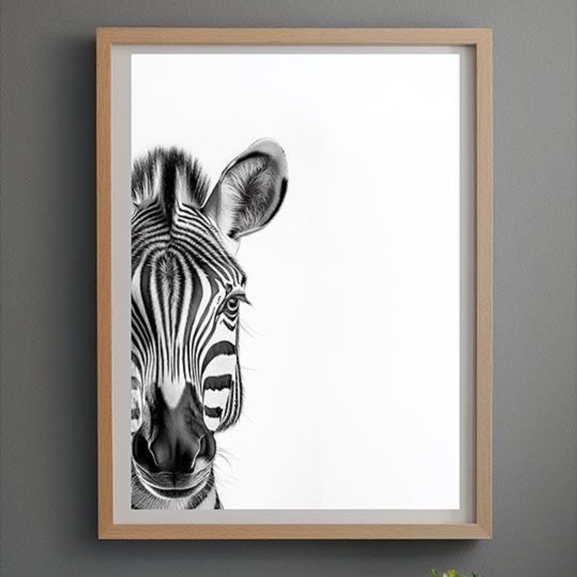 Peeking Zebra Close-Up Black and White African Wildlife Poster