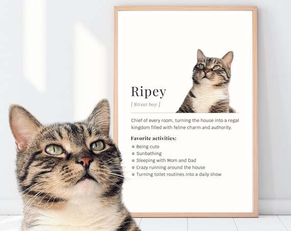 Custom Cat Definition Poster Personalized Tabby Photo Portrait Gift for Cat Mom