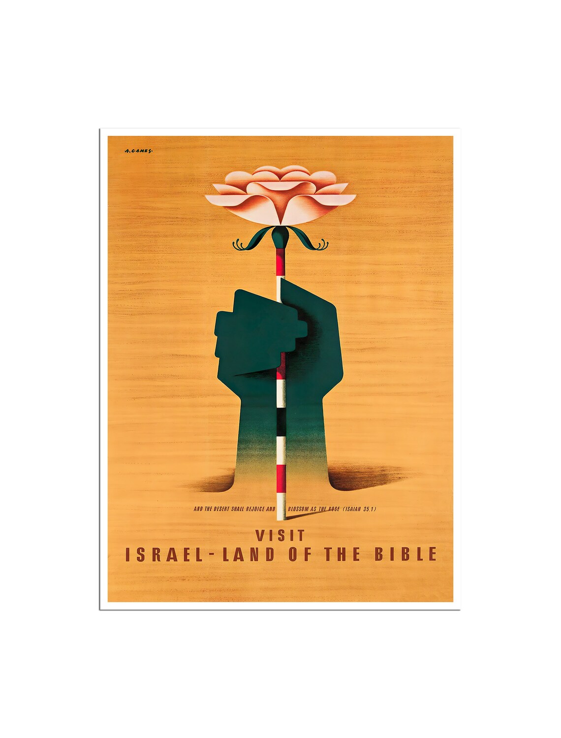 Visit Israel Land of the Bible Vintage Desert Rose Travel Art Poster