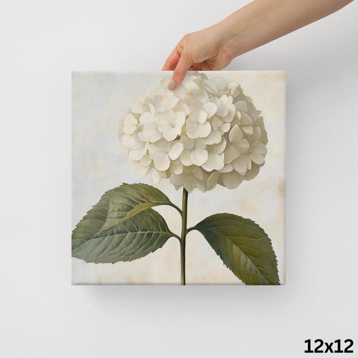 White Hydrangea Bloom Vintage Botanical Painting Print Poster - Image 2