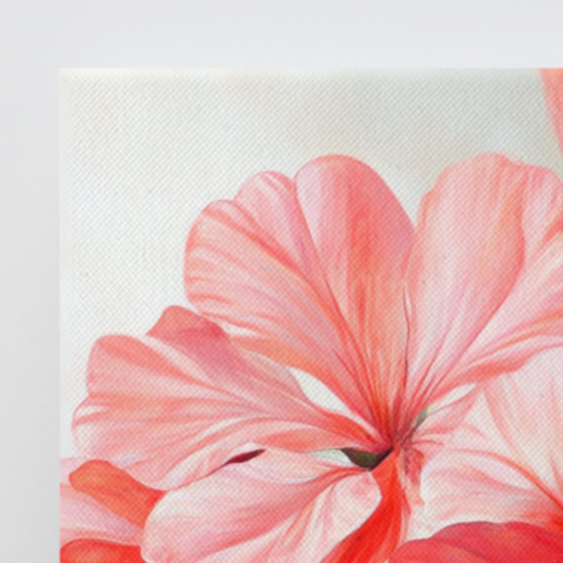 Coral Pink Geranium Blossoms Cluster Soft Botanical Wall Poster - Image 3